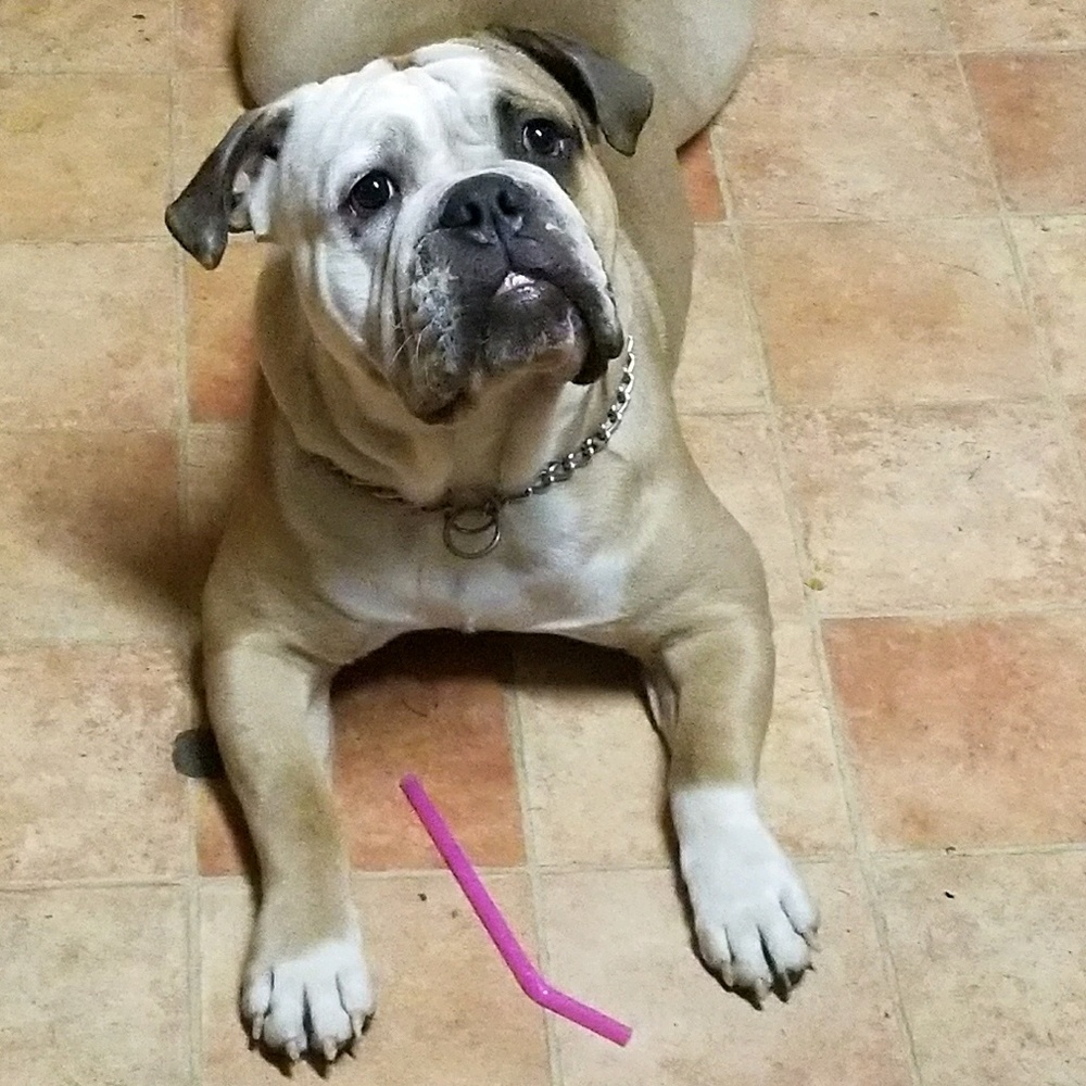 Meet your Posher, Dorene